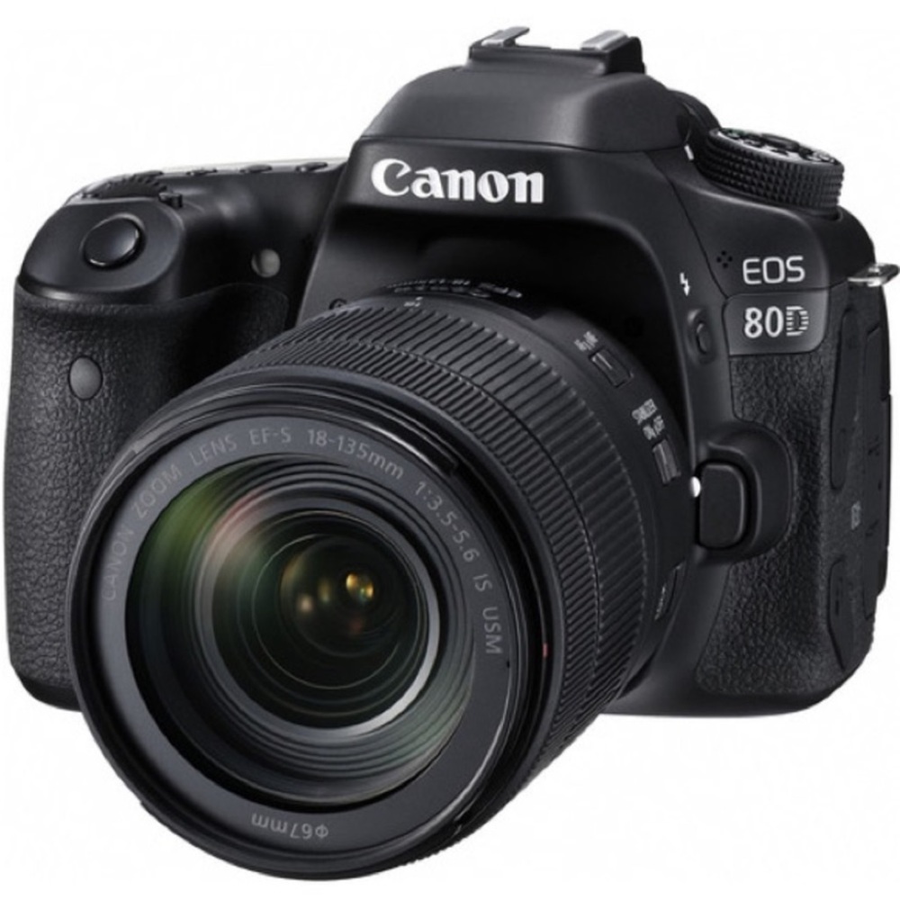 COPY - Canon 80D 18-135mm lens